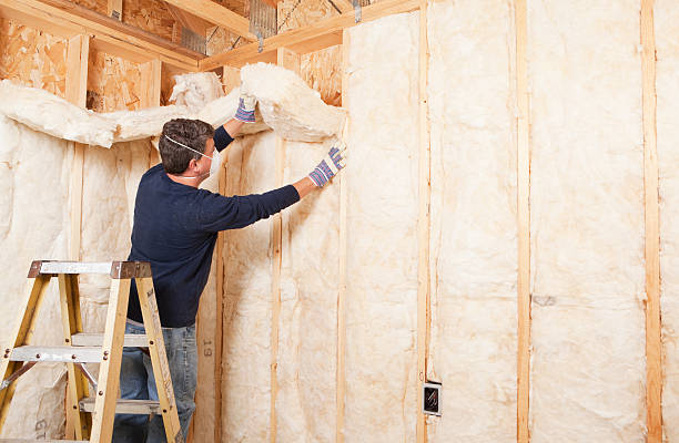 Best Reflective Insulation  in USA